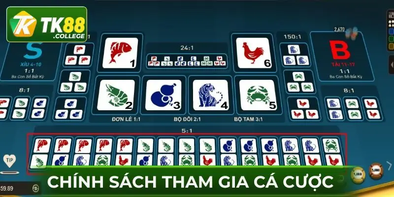 Chinh-sach-tham-gia-ca-cuoc