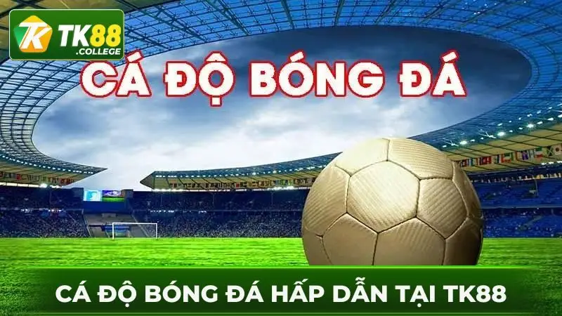 Ca-do-bong-da-sau-dang-nhap-TK88