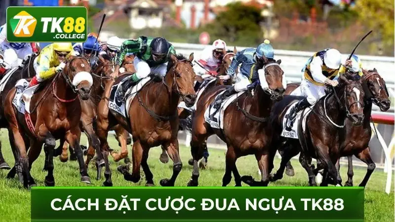 Cach-dat-cuoc-dua-ngua-TK88