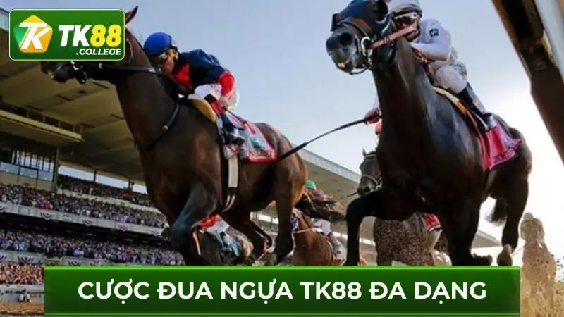 Cuoc-dua-ngua-TK88-da-dang