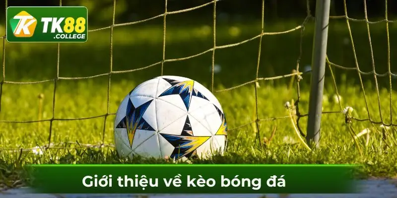 cach-doc-keo-bong-da