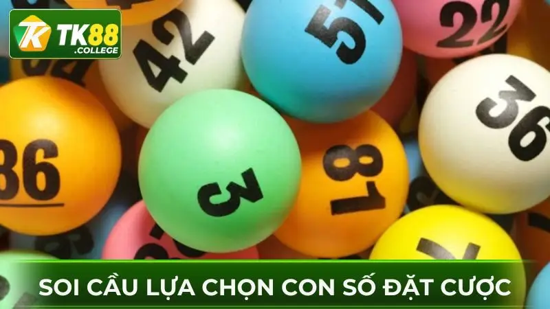 Soi-cau-truoc-khi-dat-cuoc