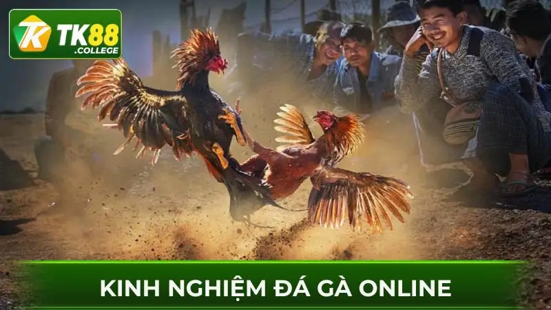 Kinh-nghiem-da-ga-online