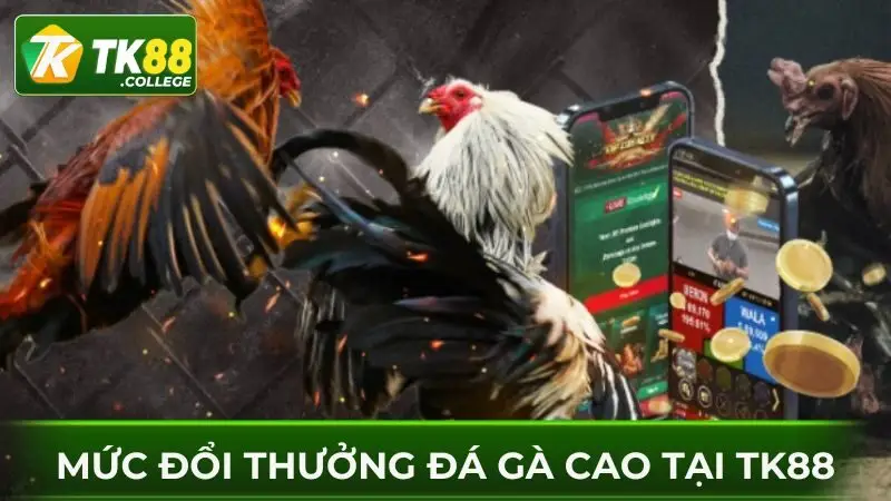 Muc-doi-thuong-la-uu-tien-lua-chon-cuoc