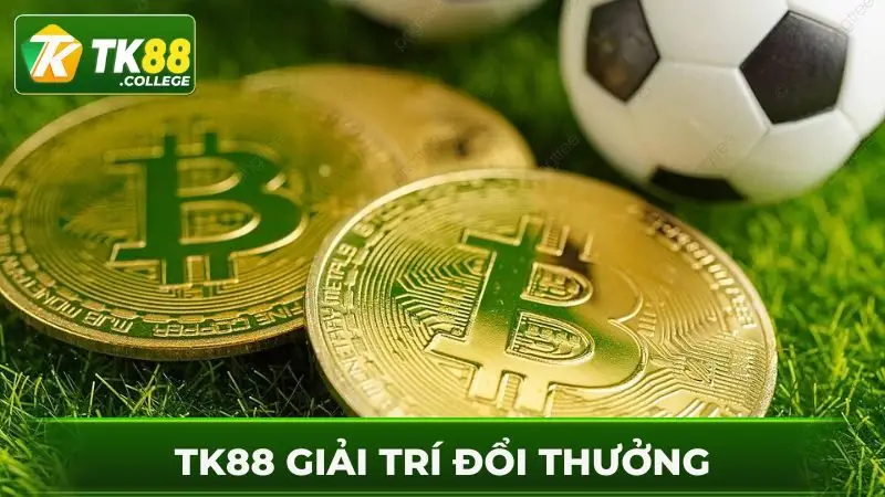 TK88-giai-tri-dinh-cao